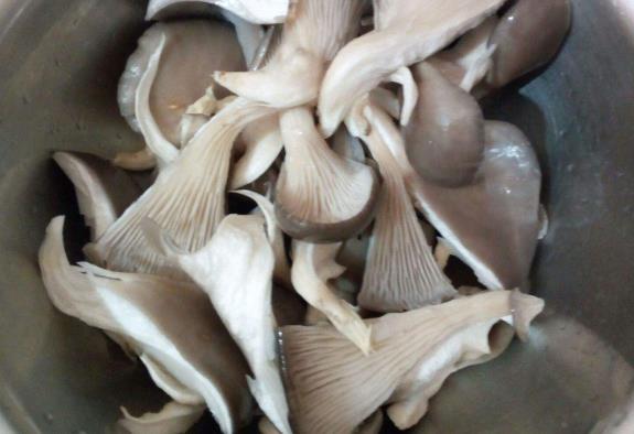 食品重金屬檢測儀：蘑菇喜歡富集重金屬？