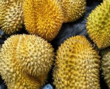 “哄搶榴蓮”檢查結(jié)果終于來(lái)了，罪魁禍?zhǔn)拙故撬? />
                                    </div>
                                    <div   id=