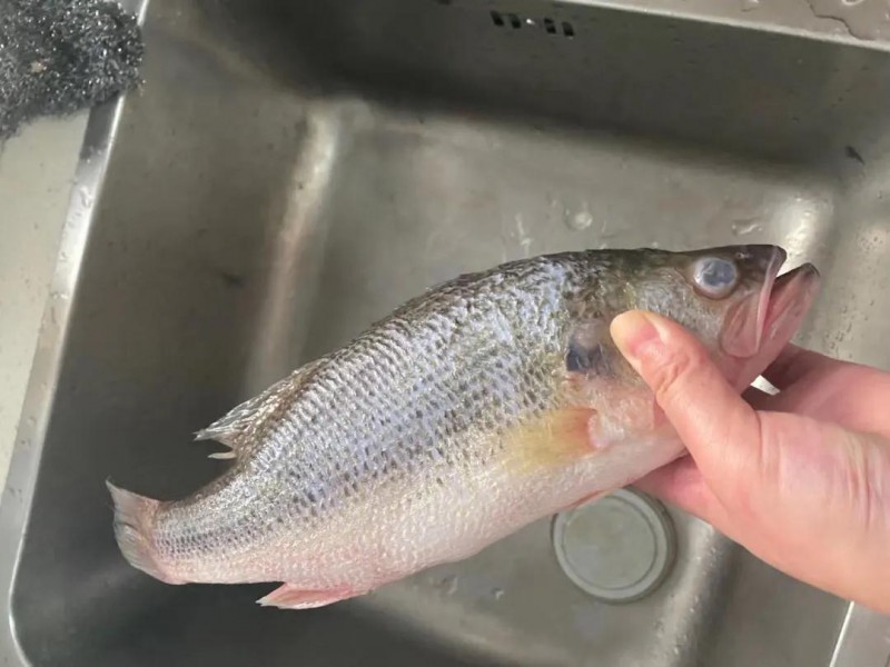 “活魚變死魚”，好一出瞞天過海！