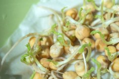 豆芽屬于食品還是食用農(nóng)產(chǎn)品呢？