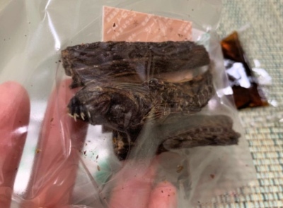 看著“可怕”的食物，其實味道還不錯~