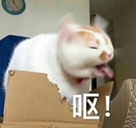 童子蛋是什么傳統(tǒng)美食？