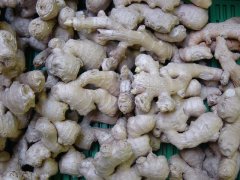 男人不可一日無(wú)姜？假的！